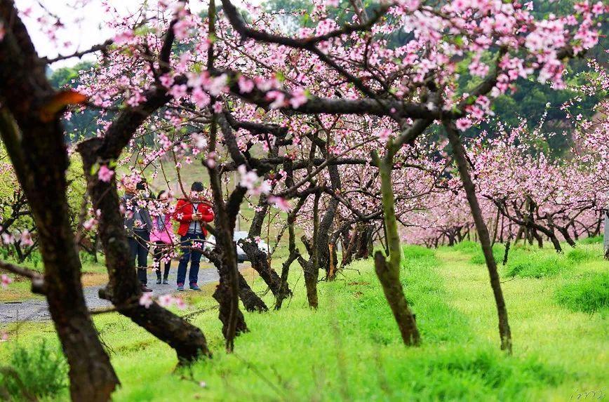 实习岗位热招!可远程&线下!字节、小红书、埃森哲、花旗、摩根、中金、中信...