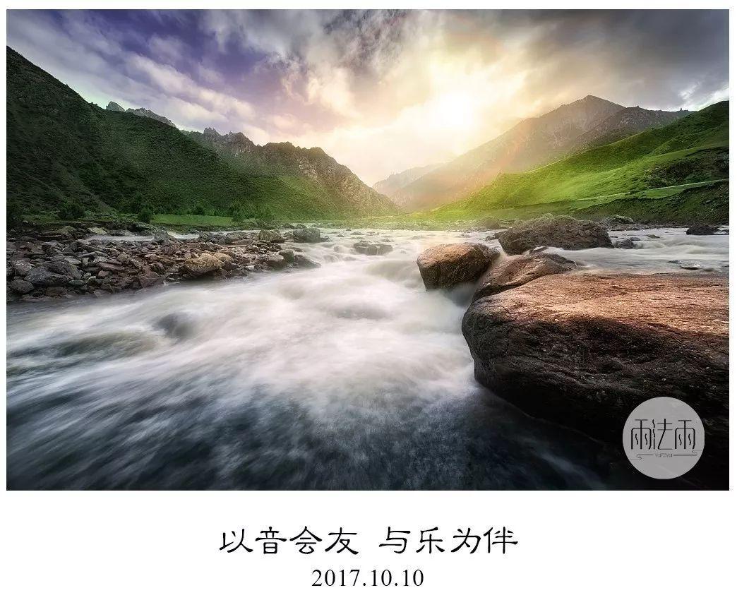 植物大战僵尸11